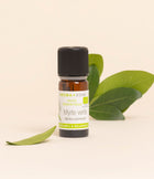 Myrte verte BIO