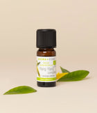 Ylang-Ylang complète BIO