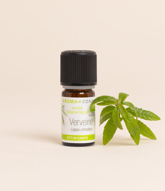 Verveine odorante BIO