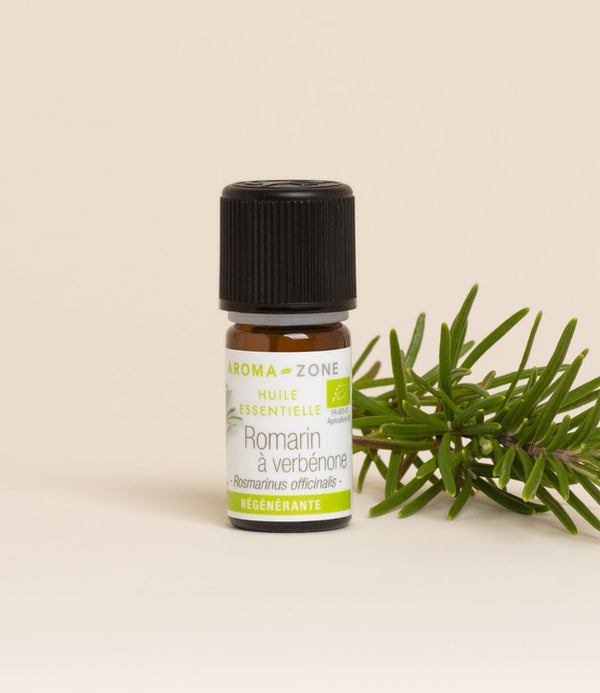 Romarin à verbénone de Corse BIO – My Dz’Essential