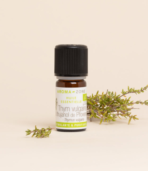 Thym à thujanol de Provence BIO