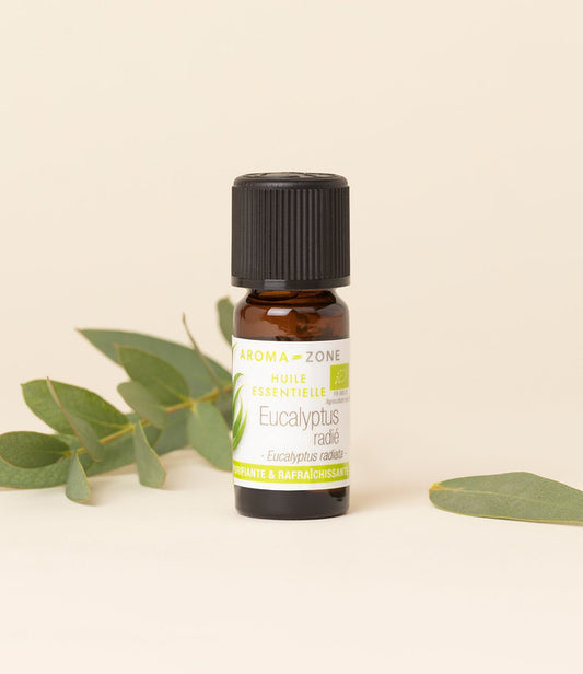 Eucalyptus radié BIO