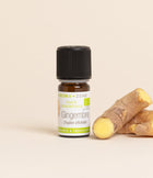 Gingembre BIO