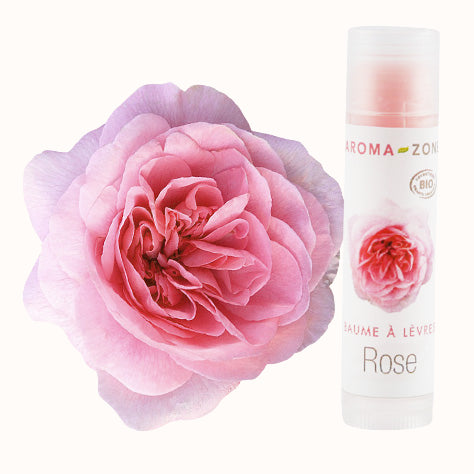 Baume à lèvres Rose