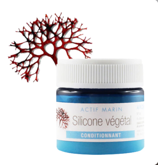 Actif Silicone végétal