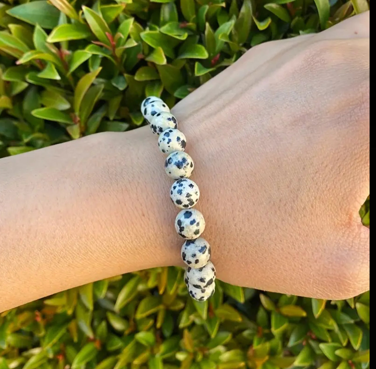Bracelet en Jaspe Dalmatien – Optimisme et Joie de Vivre