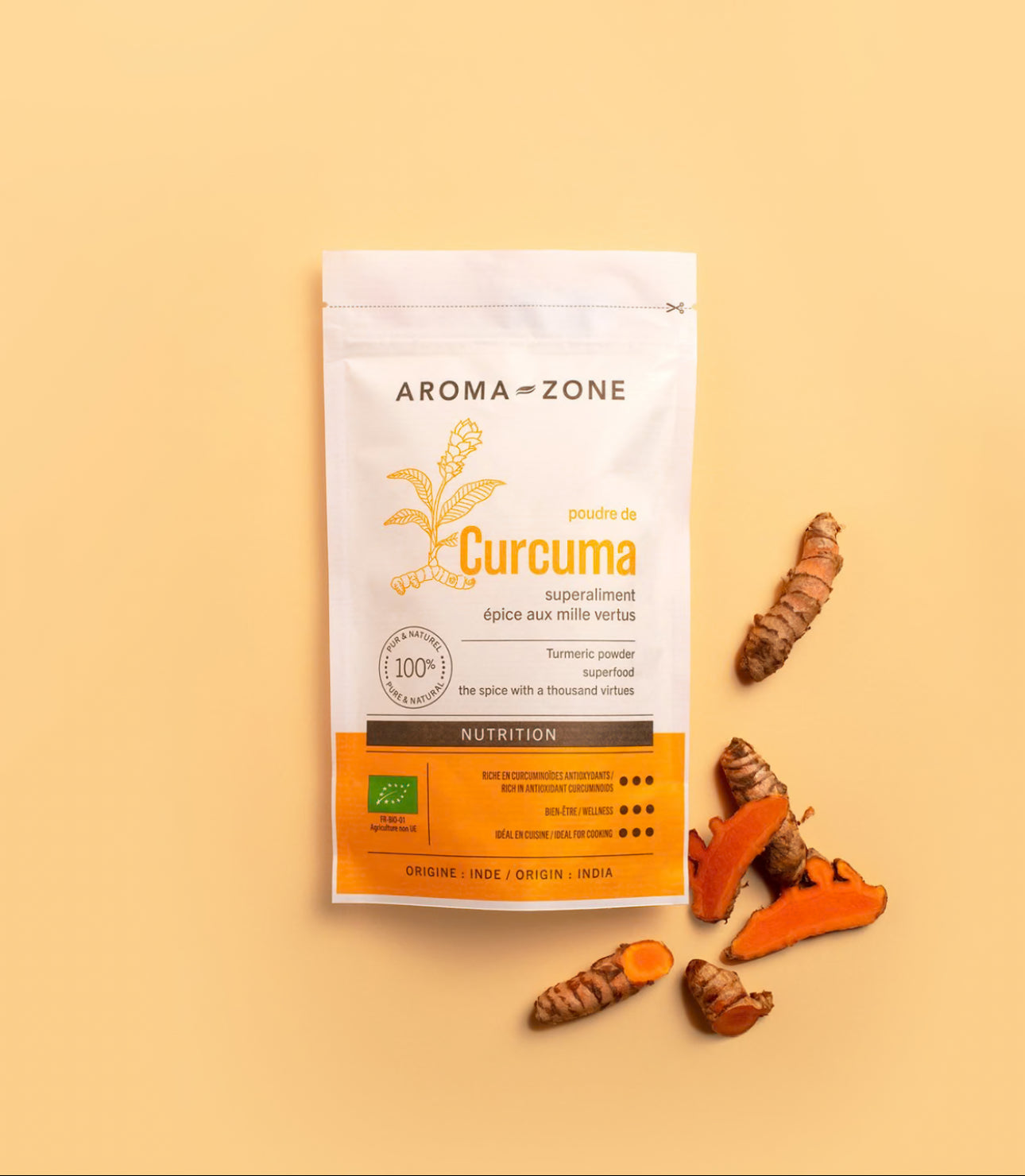 Poudre de Curcuma BIO