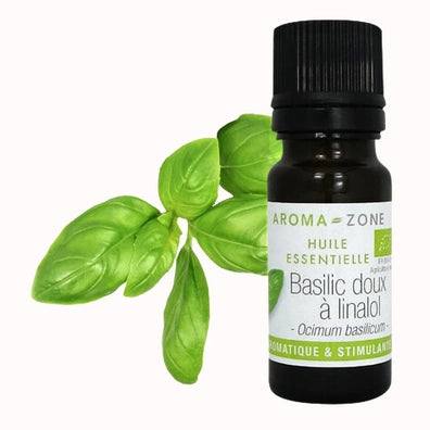 Basilic doux à linalol BIO